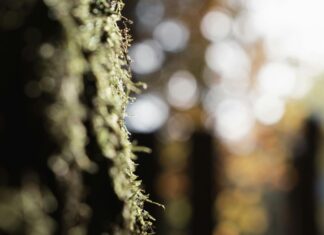 Demografik Hedefleme Teknikleri İle Satışlarınızı Artırmanın Sırları