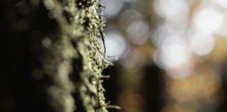 İçerik Dağıtım Planı İle Başarıyı Yakalamanın Sırları Neler?