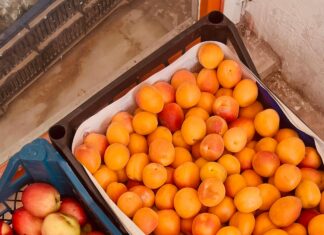 Pinterest Alışveriş Kampanyası: Kazanmanın En İyi Yolları Neler?