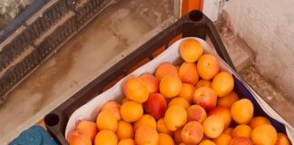 Pinterest Görsel Reklam İle Satışlarınızı Artırmanın Sırları