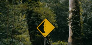 Marka Odaklı İçerik Nasıl Hazırlanır? Etkili Stratejiler!