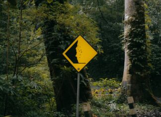 Marka Odaklı İçerik Nasıl Hazırlanır? Etkili Stratejiler!