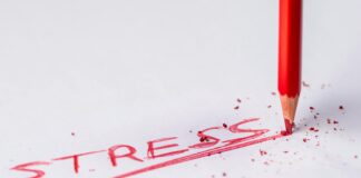 Meta Lead Reklamı Nedir? Etkili Stratejiler Ve İpuçlarıyla Başarı