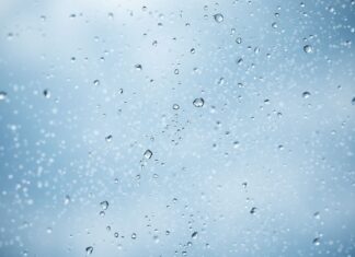 Dijital Pazarlama ve Marka Yönetiminde Hava Durumu Etkisi The Effect of Weather on Digital Marketing and Brand Management