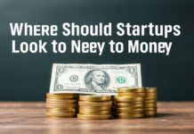 Başlangıç Aşamasında Başarılı Olmak İçin Startupların Parayı Nereden Bulması Gerekiyor? Where Should Startups Look for Money to Succeed in the Early Stages?